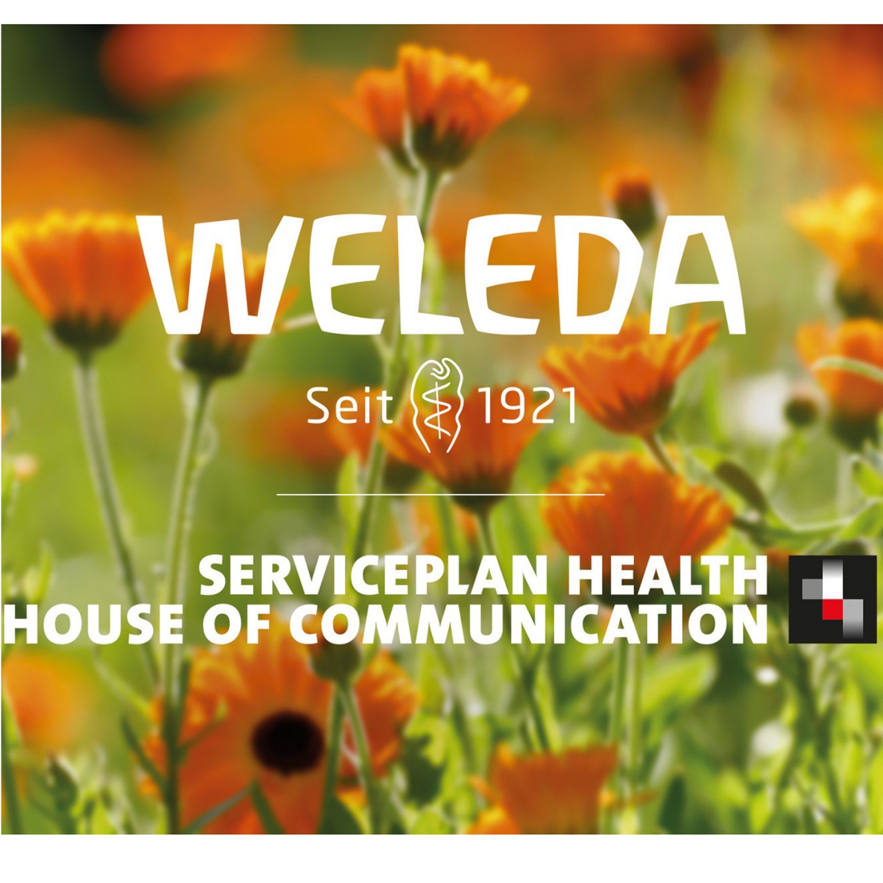 Weleda Serviceplan Health